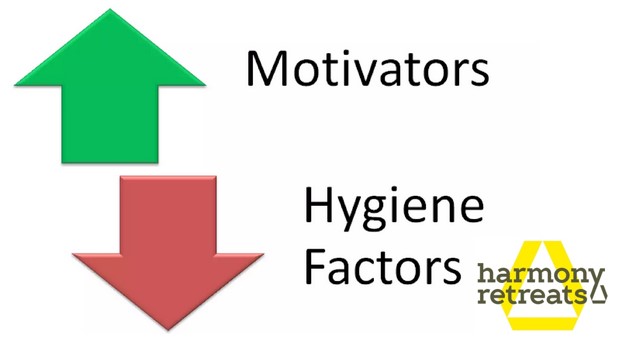 Read more about the article Die Kraft von Motivatoren und Hygienefaktoren